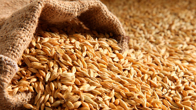 картинка Солод Карамельный 50, Курский от магазина Мангалторг